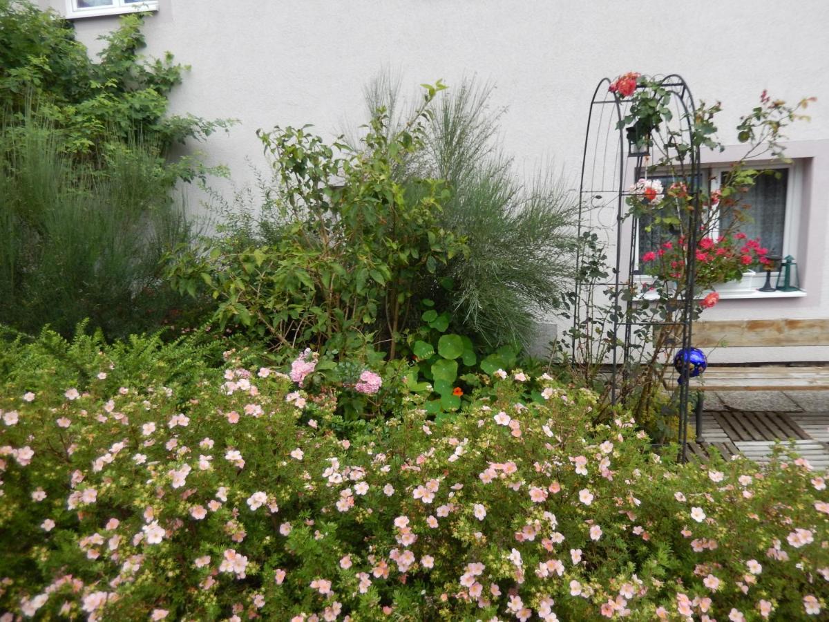 Gastehaus Rita Schaefer Otel Barnkopf Oda fotoğraf